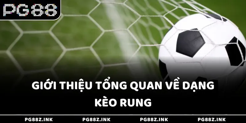 Giới thiệu tổng quan về dạng kèo rung tại PG88